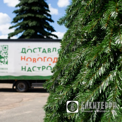 Русская натуральная уличная искусственная ёлка 4 метра